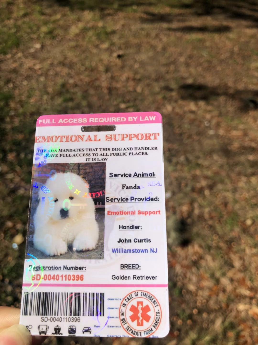 Pink Emotional Support/Service Dog Card ID Holographic Charity ADA ESA Barcode