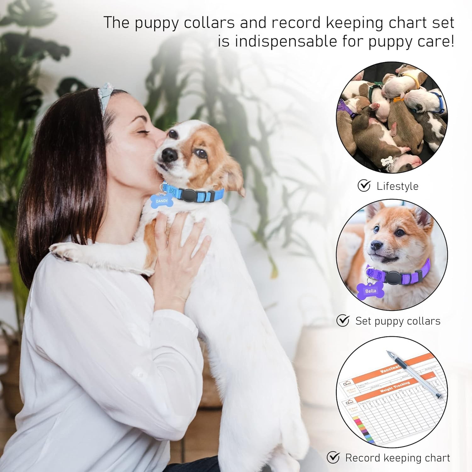 Adjustable Breakaway Puppy Collars – Assorted Colors with ID Tags Set of 12