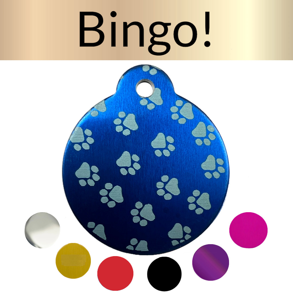 Custom Engraved Dog Tags Personalized Dog Collar Pet Tags Engraved Pet ID PAWS