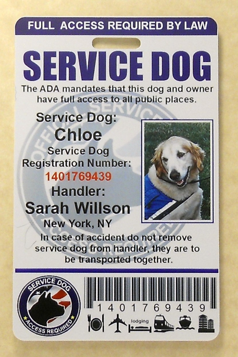 HOLOGRAPHIC PVC SERVICE DOG ID BADGE SERVICE ANIMAL ID CARD ADA TAG FOR VEST #0H
