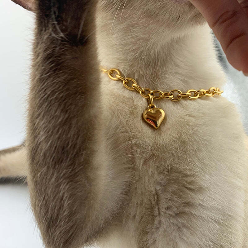 Charm Collar
