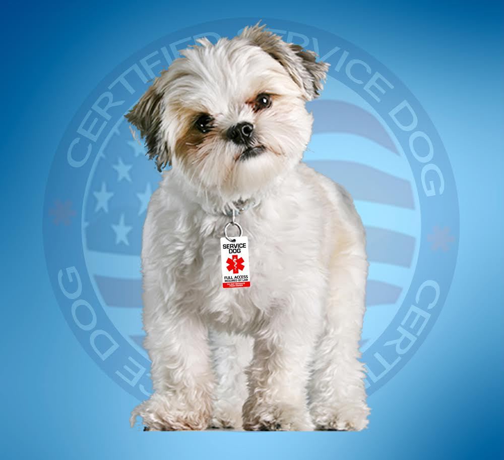SERVICE DOG ID TAG KEY CHAIN / COLLAR TAG FOR SERVICE ANIMAL PTSD ESA SUPPORT