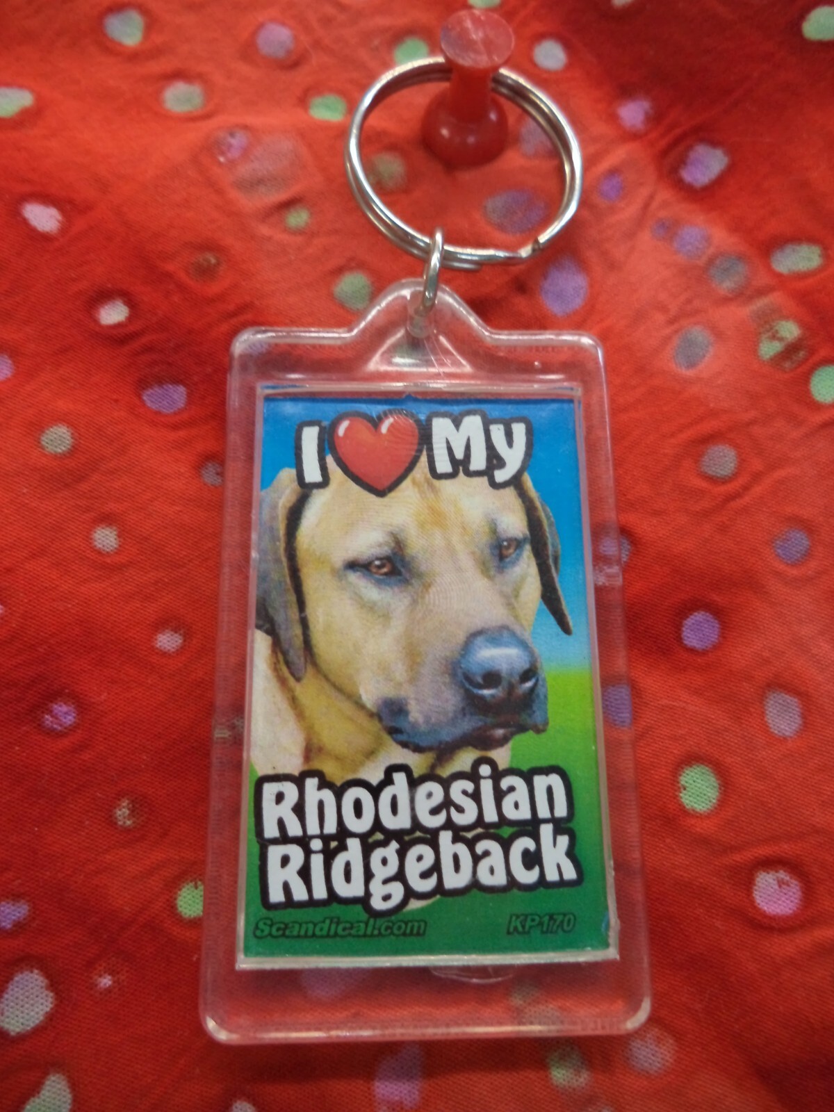 SCANDIAL PET KEY CHAINS – DOUBLE SIDED – I LOVE MY __DOG__ YOU PICK BREED! #4