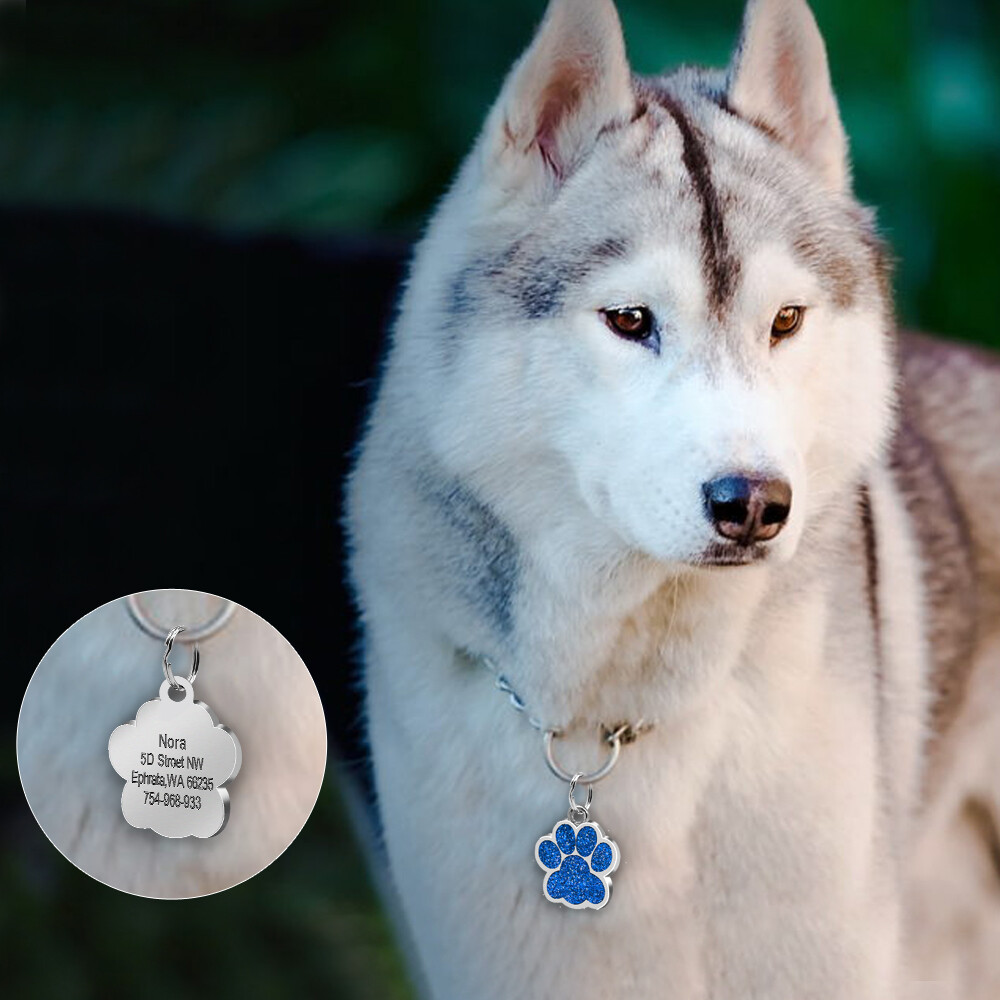Glitter Paw Personalized ID Tags Engraved Pet Dog Cat Name Disc Collar Hair Bows