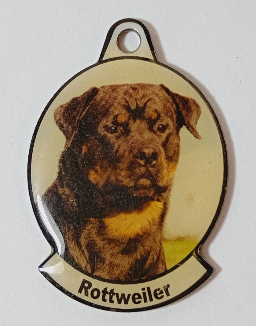 Metal Dog Breed Photo Tag. “Rottweiler” For Dog Collar or Key Chain.