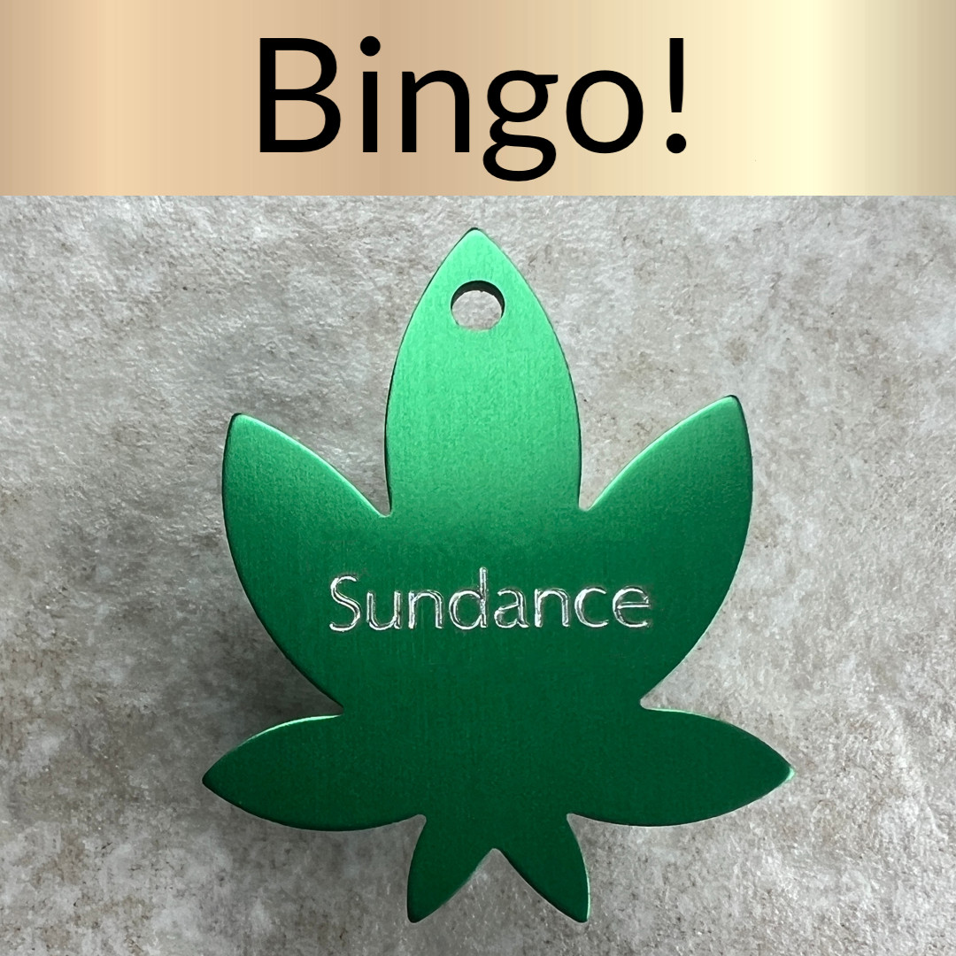 Custom Engraved Dog Tags Personalized Dog Collar Pet Tag Engraved LEAF TAG