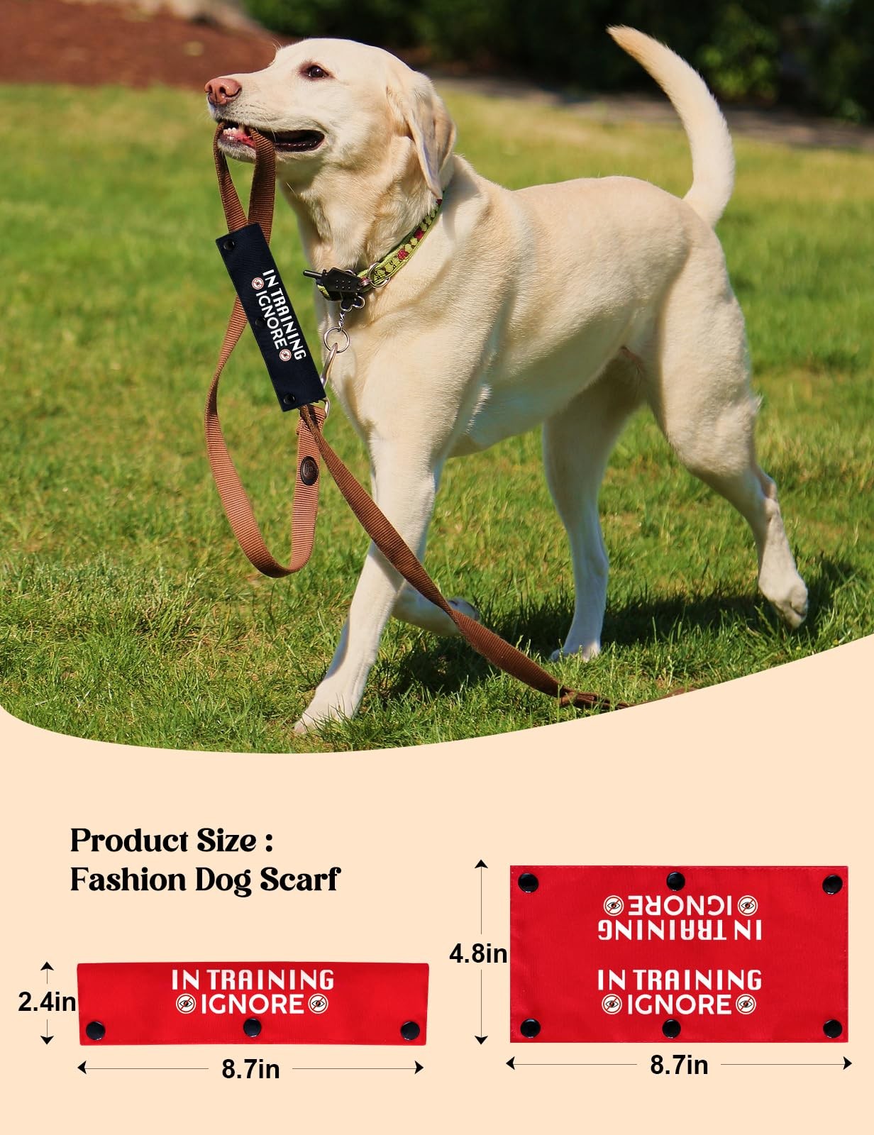 2 PCS Yellow In Training Dog Leash Sleeve Alert Wrap ID Patch Service Gift