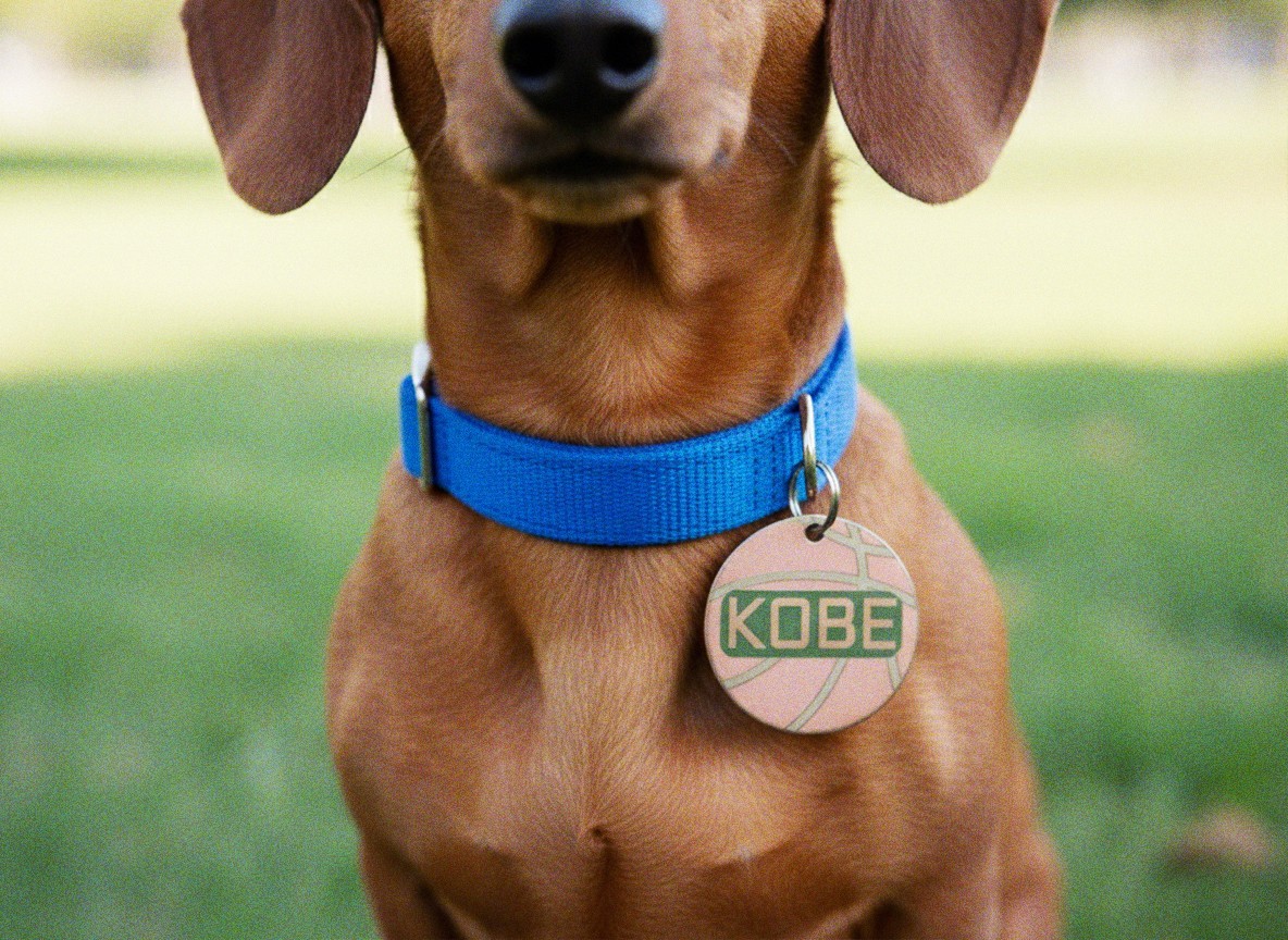Stainless Steel Pet ID Tags Dog Tags Personalized Front and Back Engraving