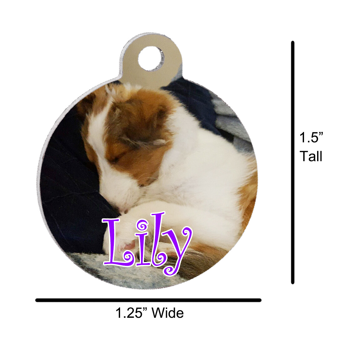 Vet Recommended Custom Personalized Sublimation Circle Pet ID Tag Single Side