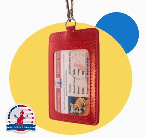 ID Holder For Assistant Animal | Carabiner Clip-On Dog Badge Pocket