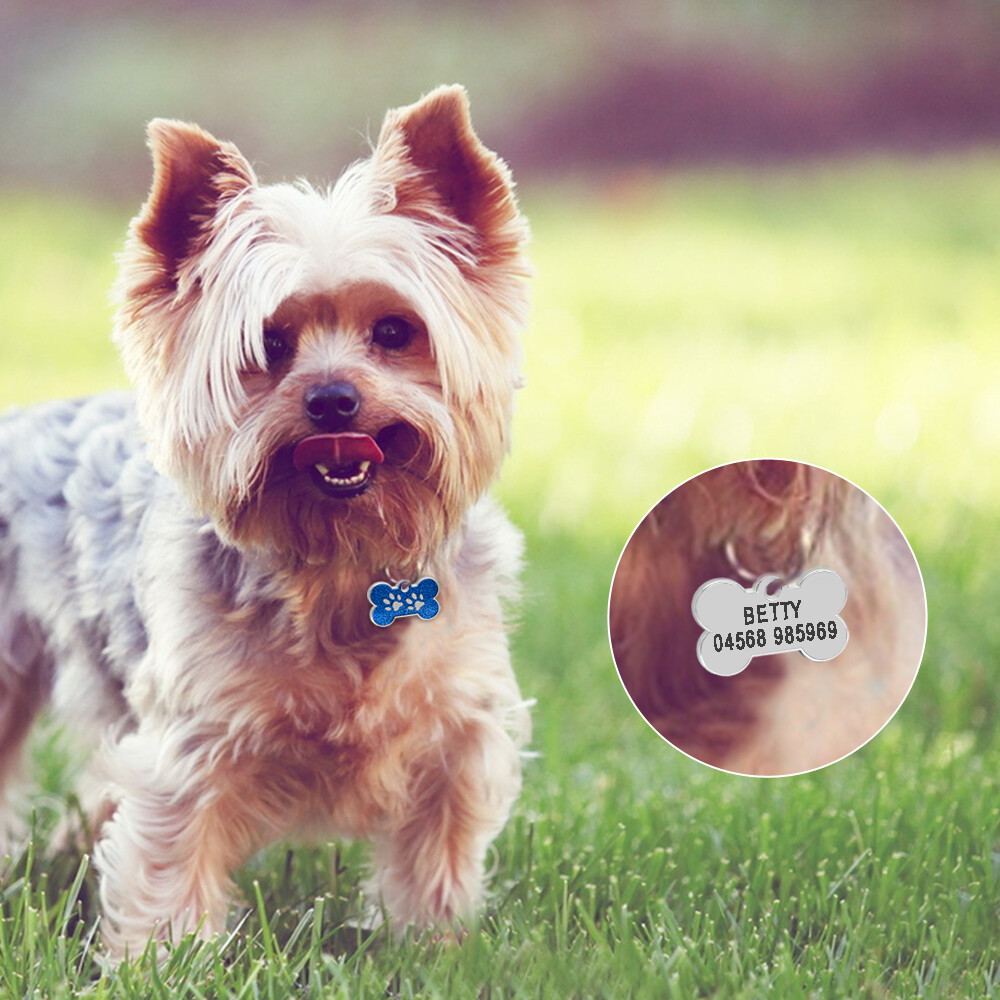 20pcs/lot Glitter Bone Shape Dog Tags Pet ID Collar No Engraving Tags Blank Disc
