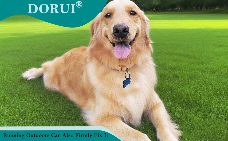 4 Pack Pet Tag Clips, Dog Rings for Pet Collar, ID Tag Quick Clips for Dogs and