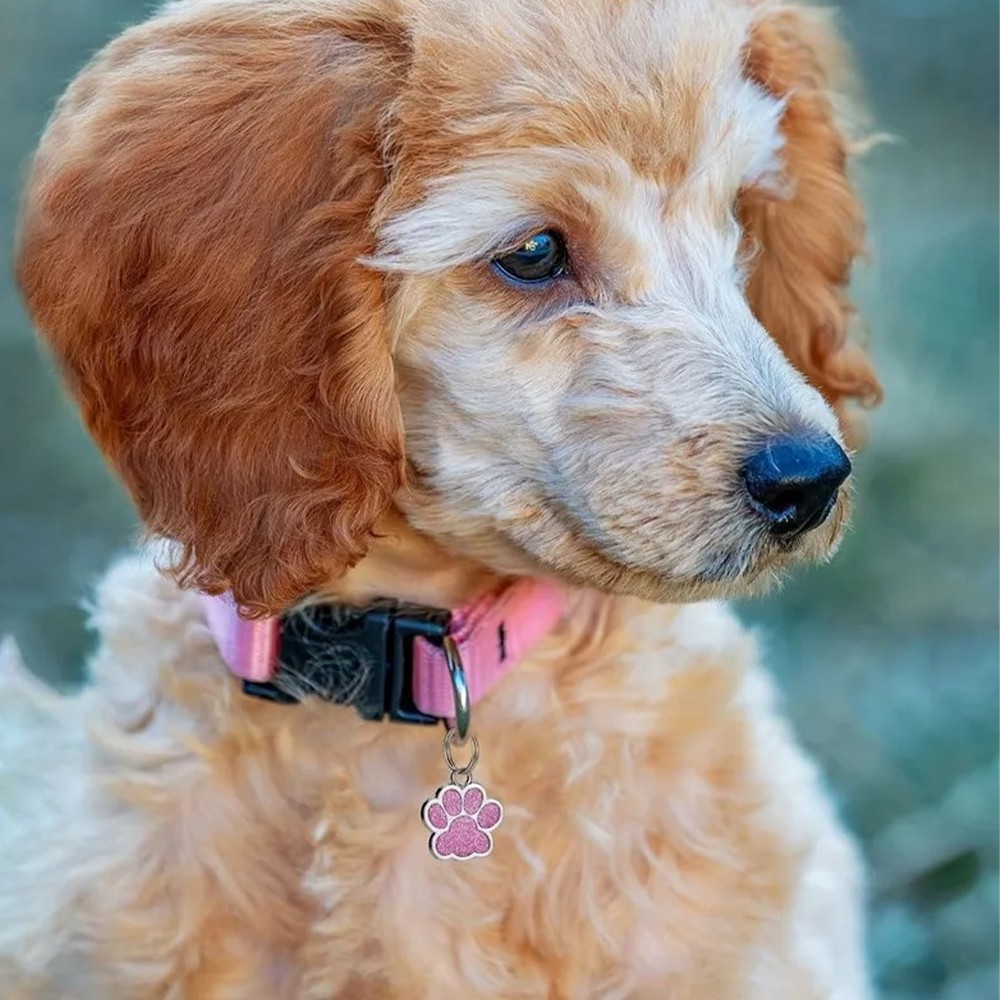 Personalized Dog Tag Engraved Cat Pet ID Name Collar Glitter Puppy Tag Custom