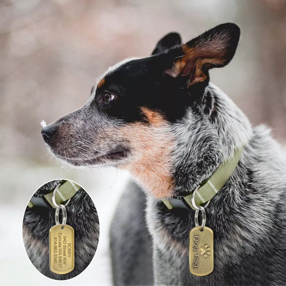 Brass Personalized Dog Tags Military Custom Engraved Pet Name ID Tag For Collar