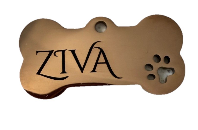 Personalized Engraved Metal Bone Dog ID Tag Paw -Read Description-