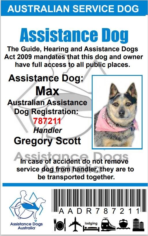 SERVICE DOG ID CARD FOR SERVICE ANIMAL PROFESSIONAL ADA RATED 0
