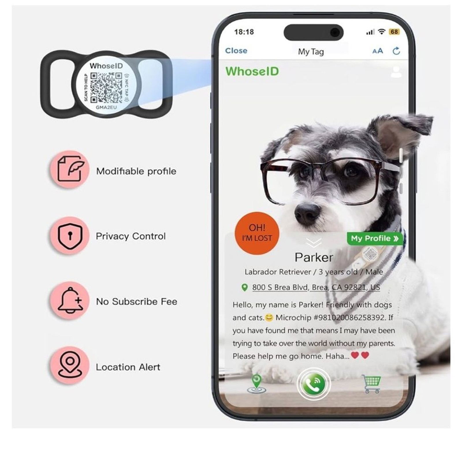 QR Code Dog Tag with NFC Personalized Pet ID Tag Large
