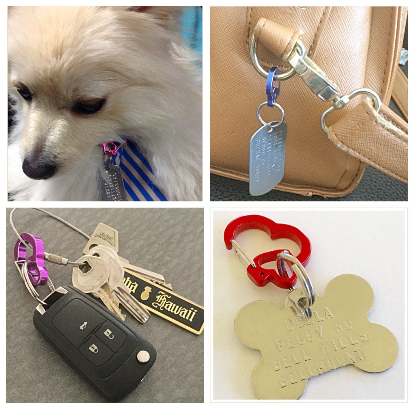 ITAG CLIP RUBIT DOG PET-SECURE ID TAG HOLDER-QUICK RELEASE SWITCH TAG TO COLLAR