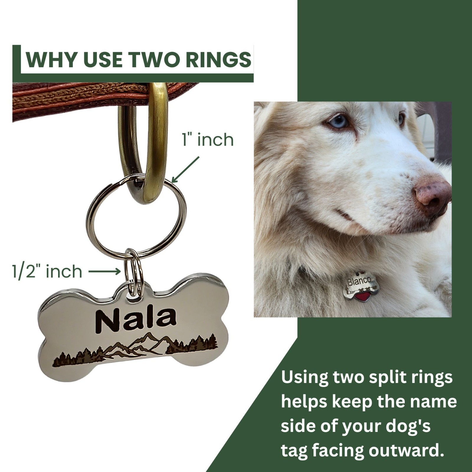 Custom Deep Engraved Butterfly Pet ID Stainless Steel for Small Dog & Cat ID Tag