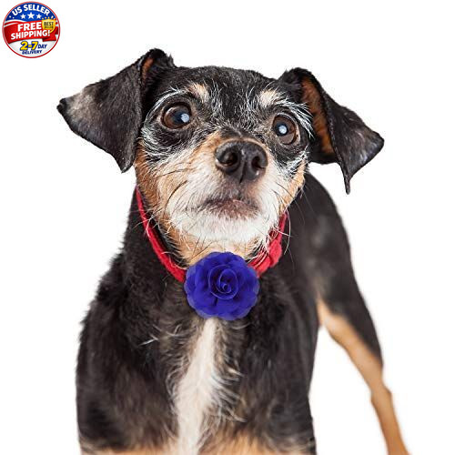 8 Pcs Dog Flowers Collar Charms Flowers for Dog Collar 3.15 Inches Cat Pet Bow T