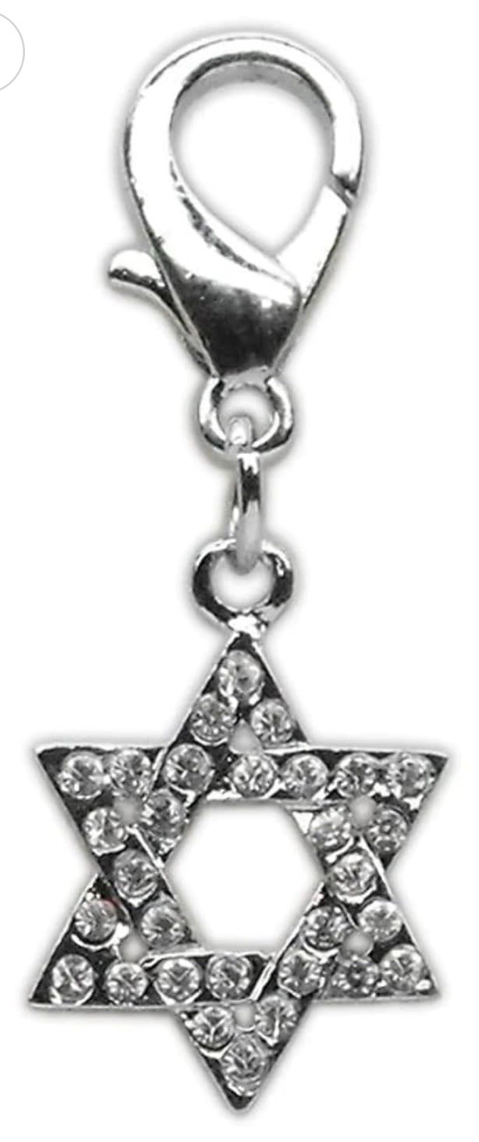 Star Dog Charm by Mirage Pet Lobster Claw 1.5″ Length