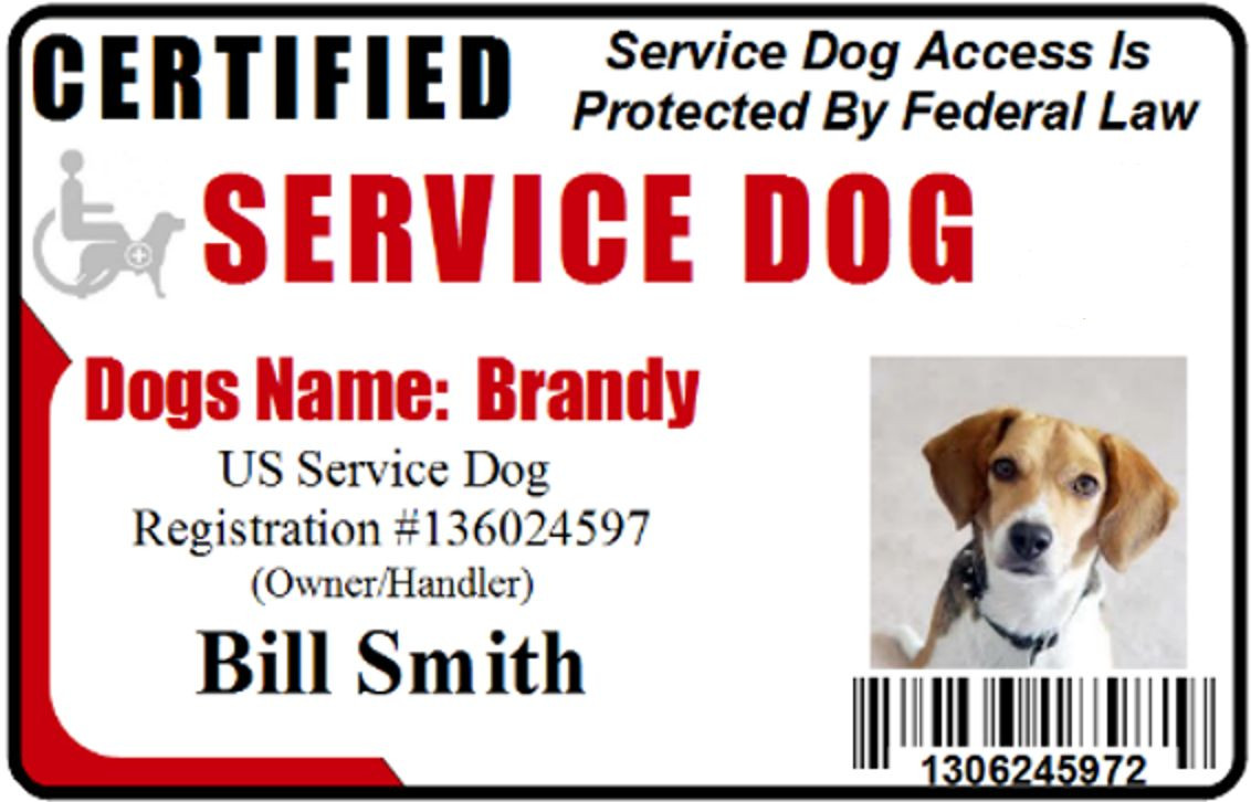 Service Dog ID Card for Vest Working Dog ID Badge Service Animal Custom made 7