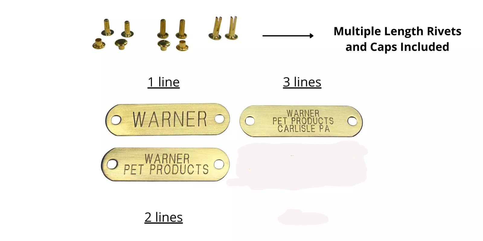 WARNER BRASS DOG TAG FOR DOG COLLAR with 3 SET OF RIVET * BRASS PET ID TAG