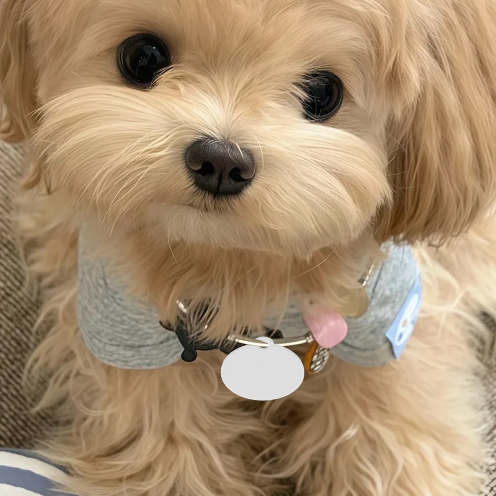 20 Pcs Aluminum Round Labels Blank Metal Pet Tags Cat for Engraving