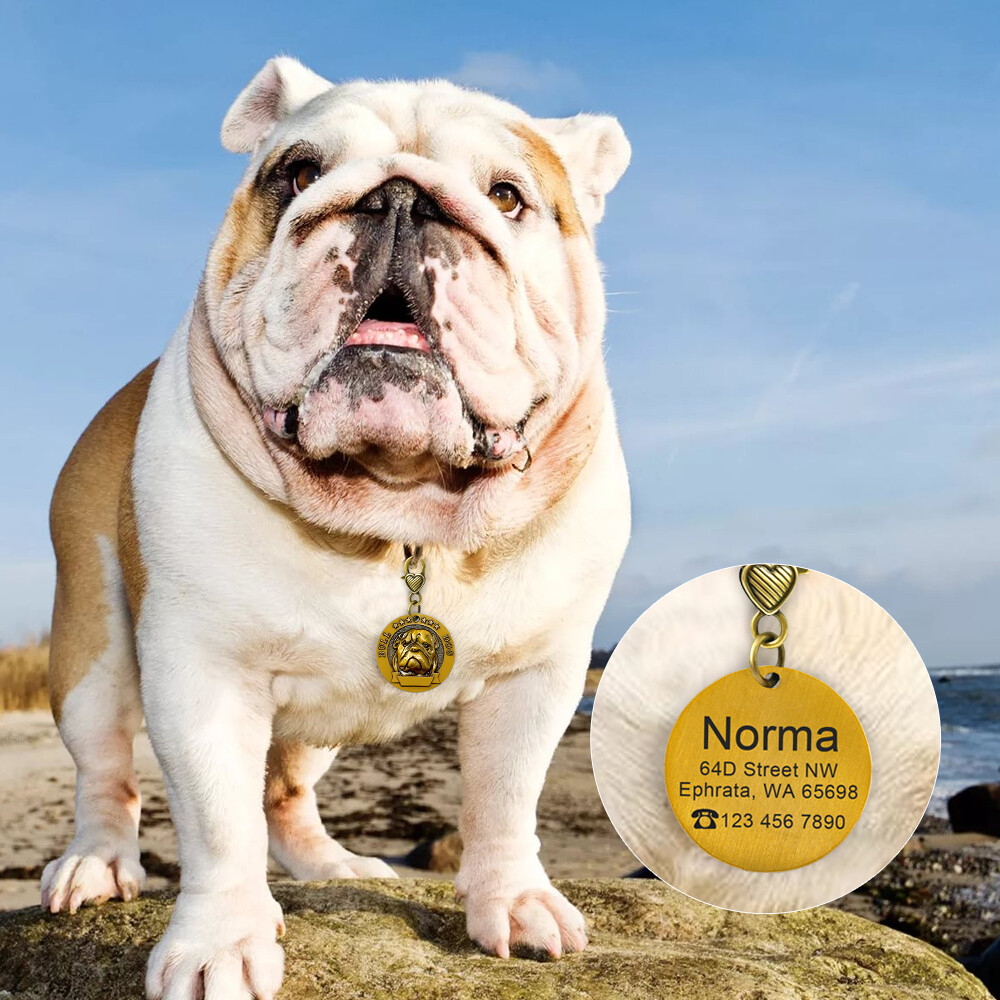 Personalized Dog 3D Tag Round Heavy Duty Custom Pet ID Name Collar Disc Engraved