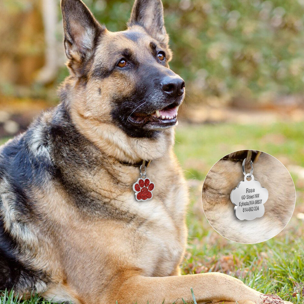 Glitter Paw Personalized ID Tags Engraved Pet Dog Cat Name Disc Collar Hair Bows
