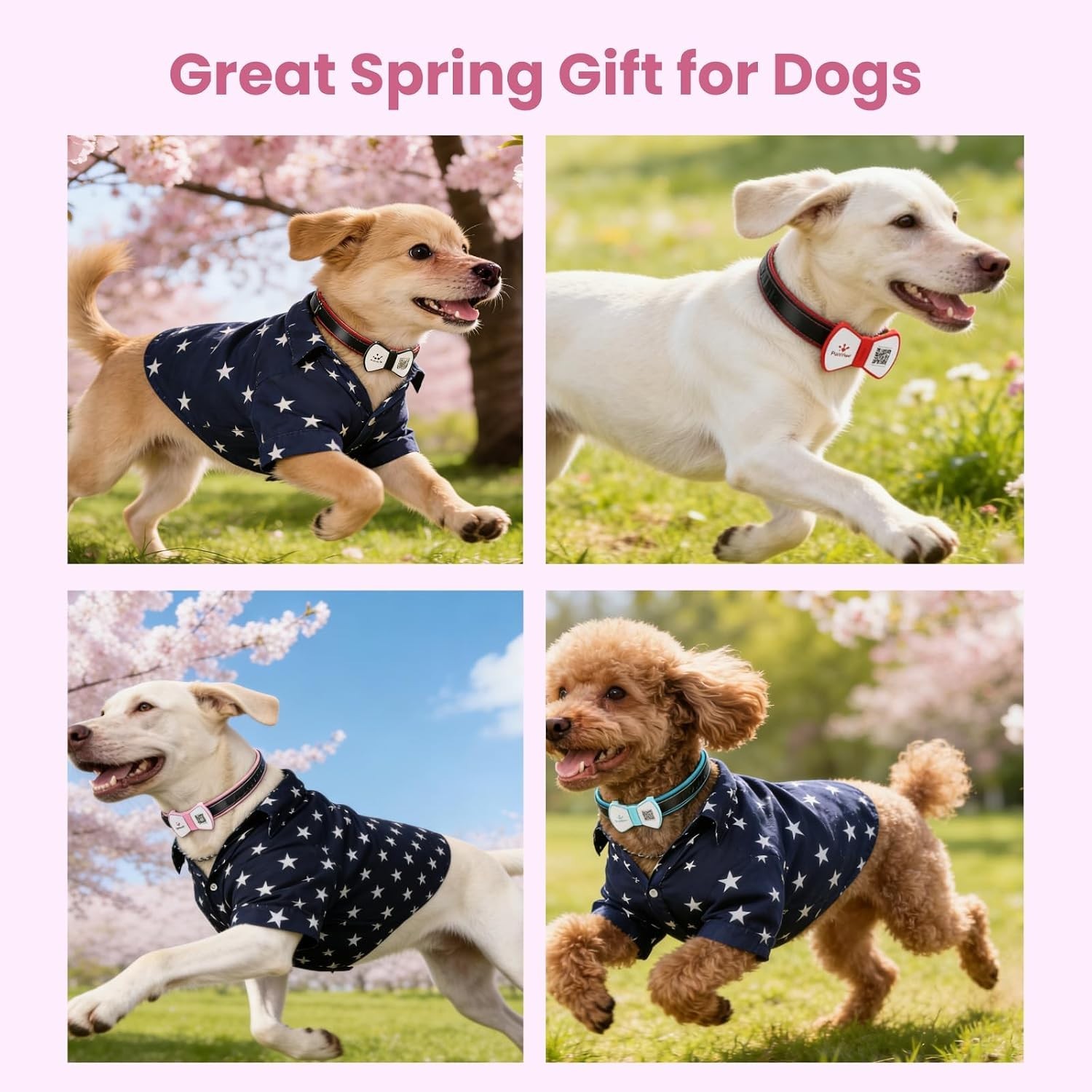Smart Pet ID Tag, QR Code Dog Tag, No Subscription Fee, Waterproof Silent Sil…