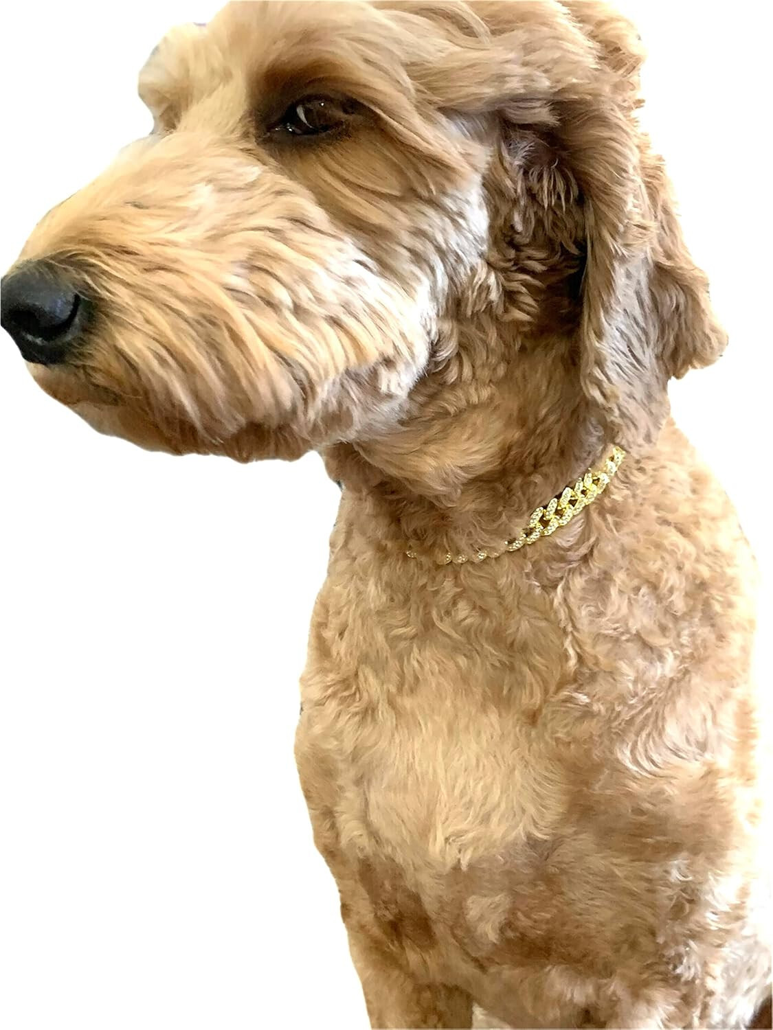 Elegant Sturdy 16 in Collar Cuban Link with Secure Buckle Pet Metal Gold Diamond
