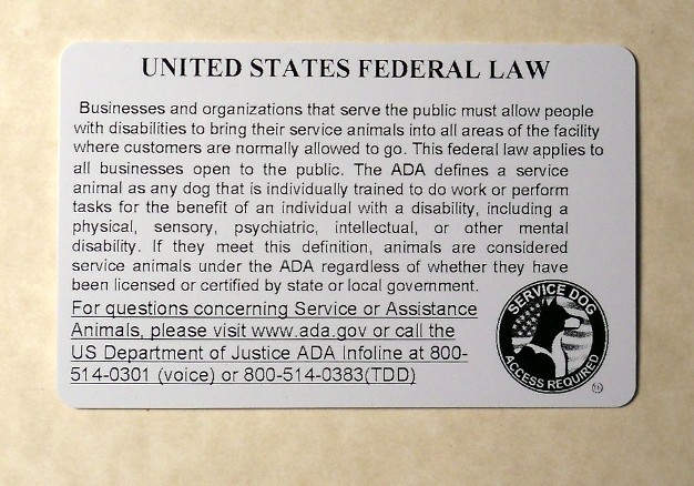 HOLOGRAPHIC PVC SERVICE DOG ID BADGE SERVICE ANIMAL ID CARD ADA TAG FOR VEST #0H