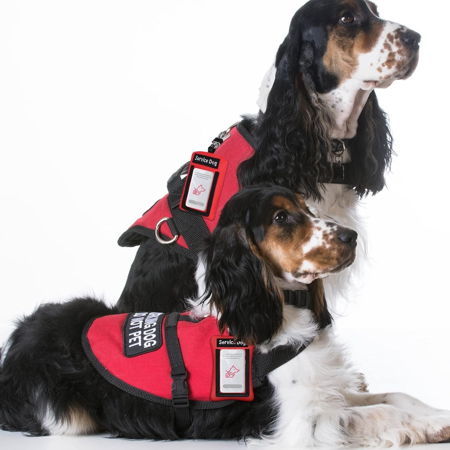 Convenient 2-Pack Service Dog ID Holders – Clip-On Design & Pouch Storage