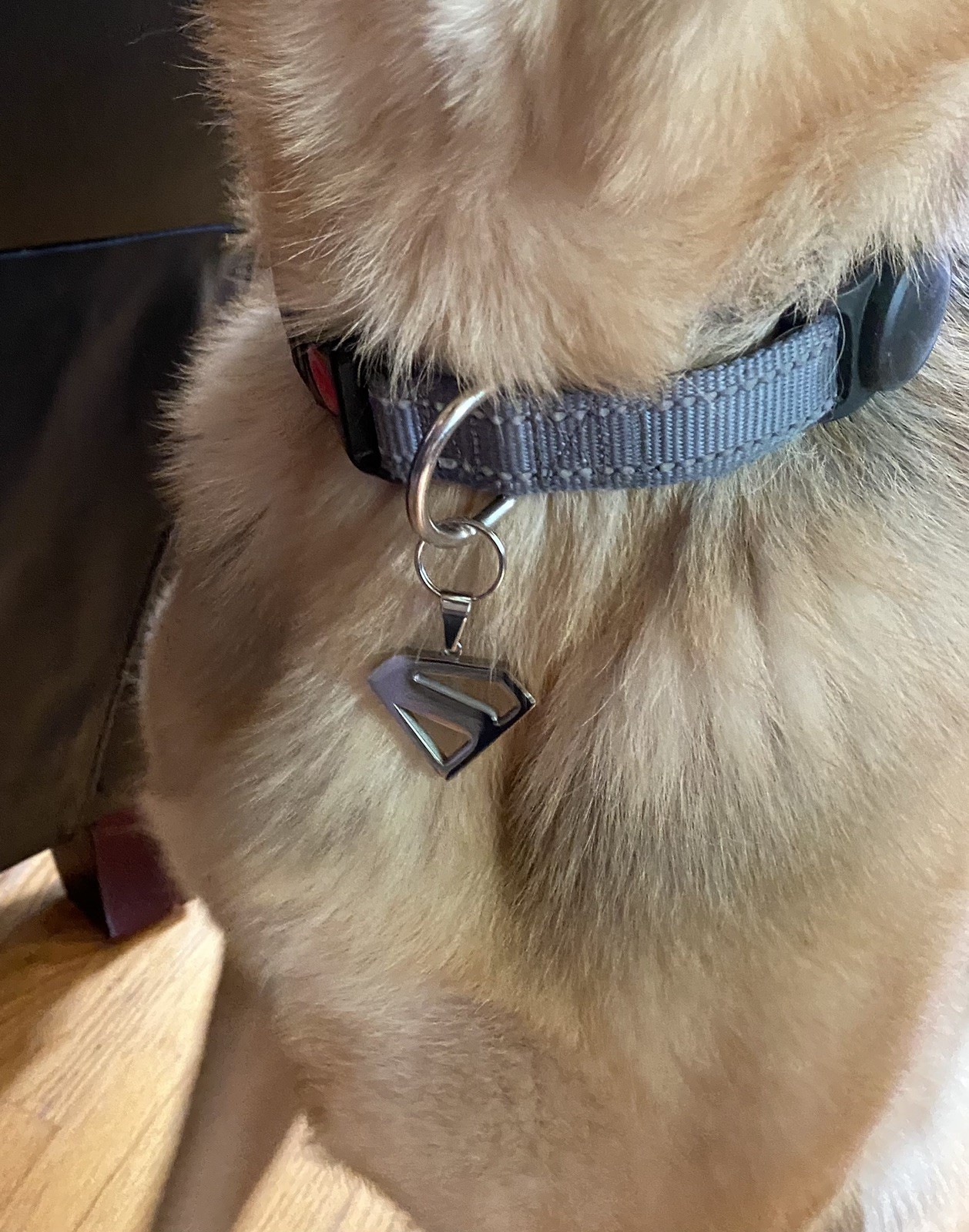 Krypto – Superman dog collar/tag/pendant 2025 Gunn