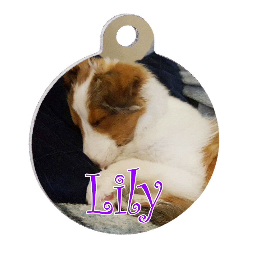 Vet Recommended Custom Personalized Sublimation Circle Pet ID Tag Single Side