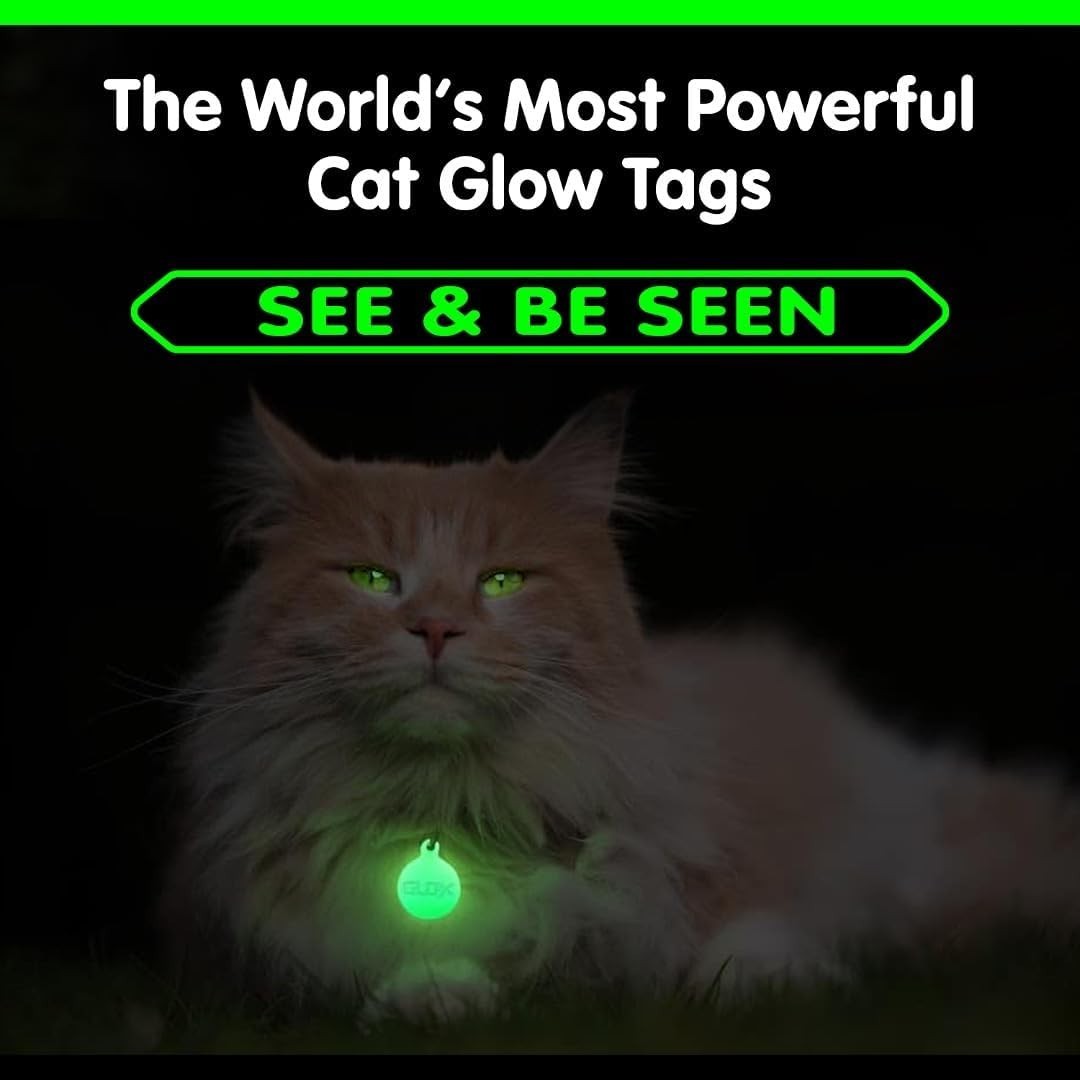 Glow in Dark Cat Collar Tags Safety Pet ID Tags 12hr Night Glow