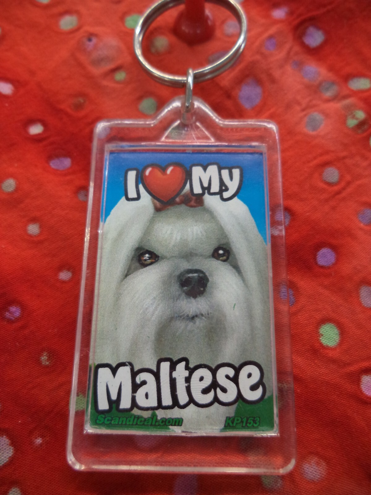 SCANDIAL PET KEY CHAINS – DOUBLE SIDED – I LOVE MY __DOG__ YOU PICK BREED! #3