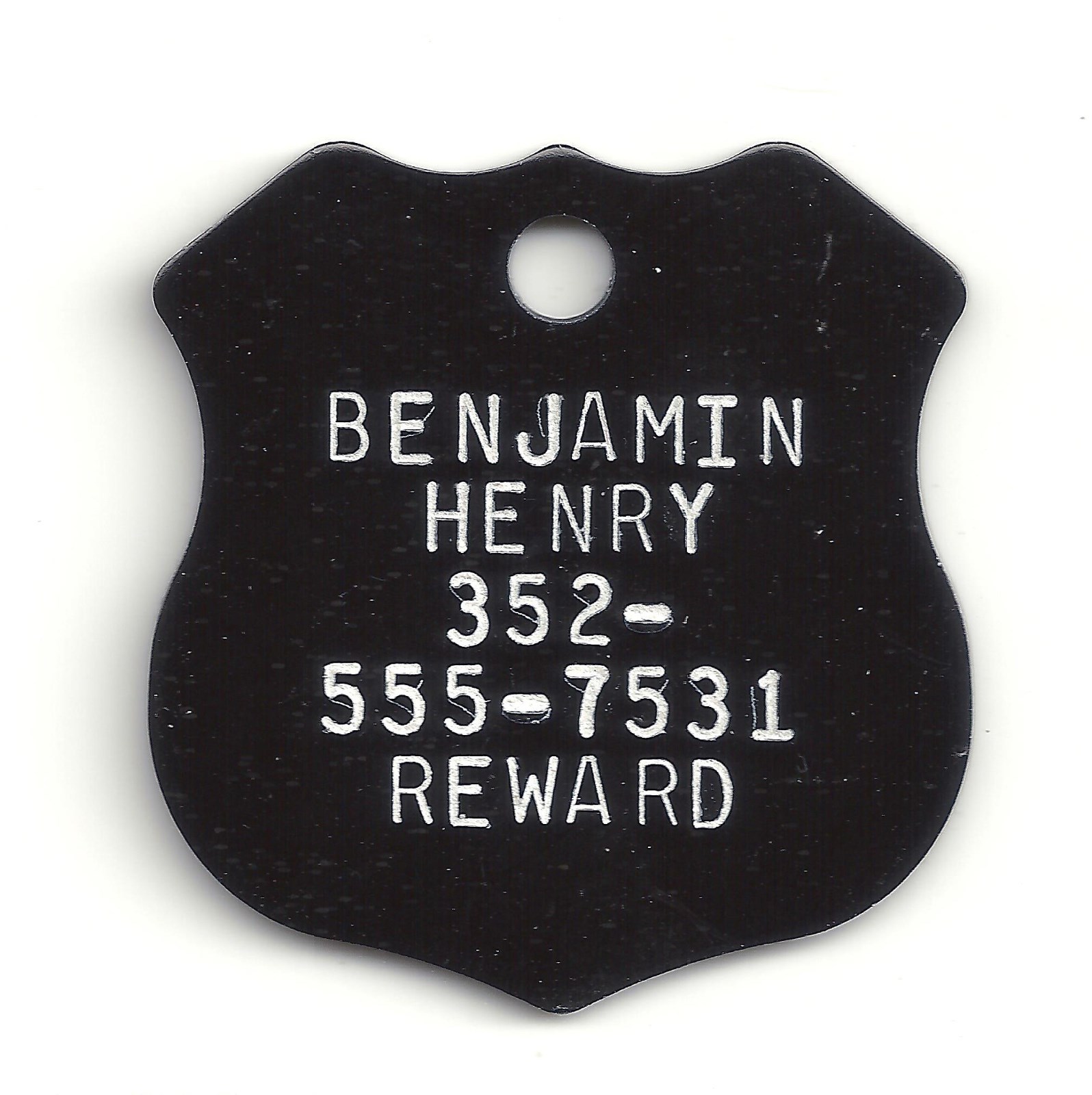 Large Aluminum Badge Pet ID Dog Tag