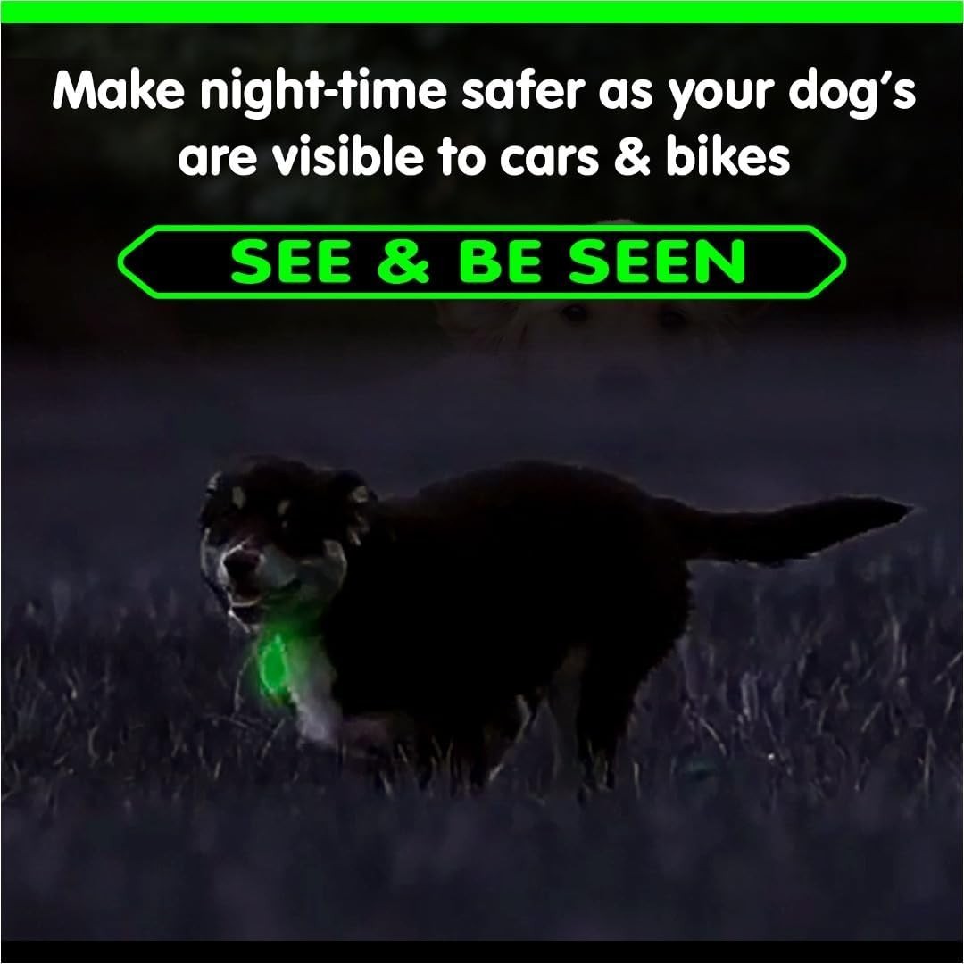 Glow in Dark Dog Collar Tags Pet Safety Night Visible 12H Glow Tags