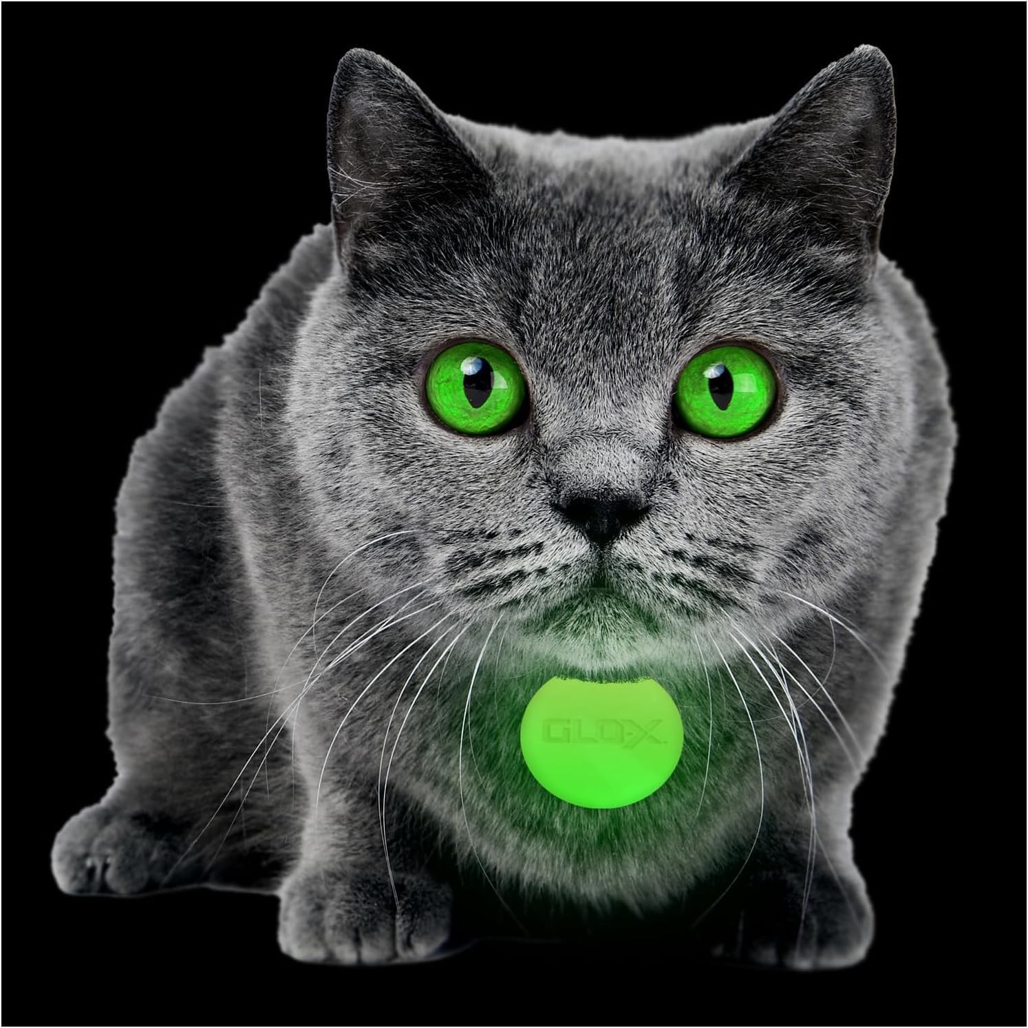 Glow in Dark Cat Collar Tags Safety Pet ID Tags 12hr Night Glow