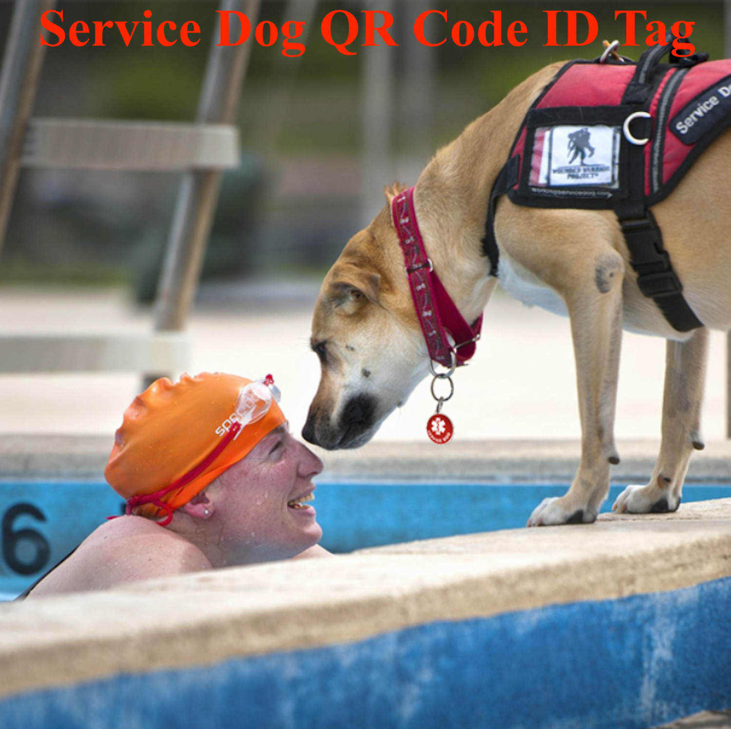PetDwelling Service Dog ID QR Tag w/Online Profile/Email Alert/Scan GPS Location