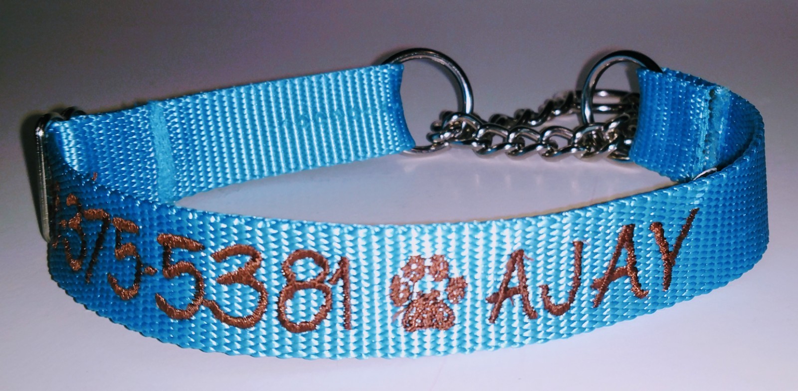 PERSONALIZED Embroidered Chain Martingale Dog Collar Pet ID Tag Name and Phone!