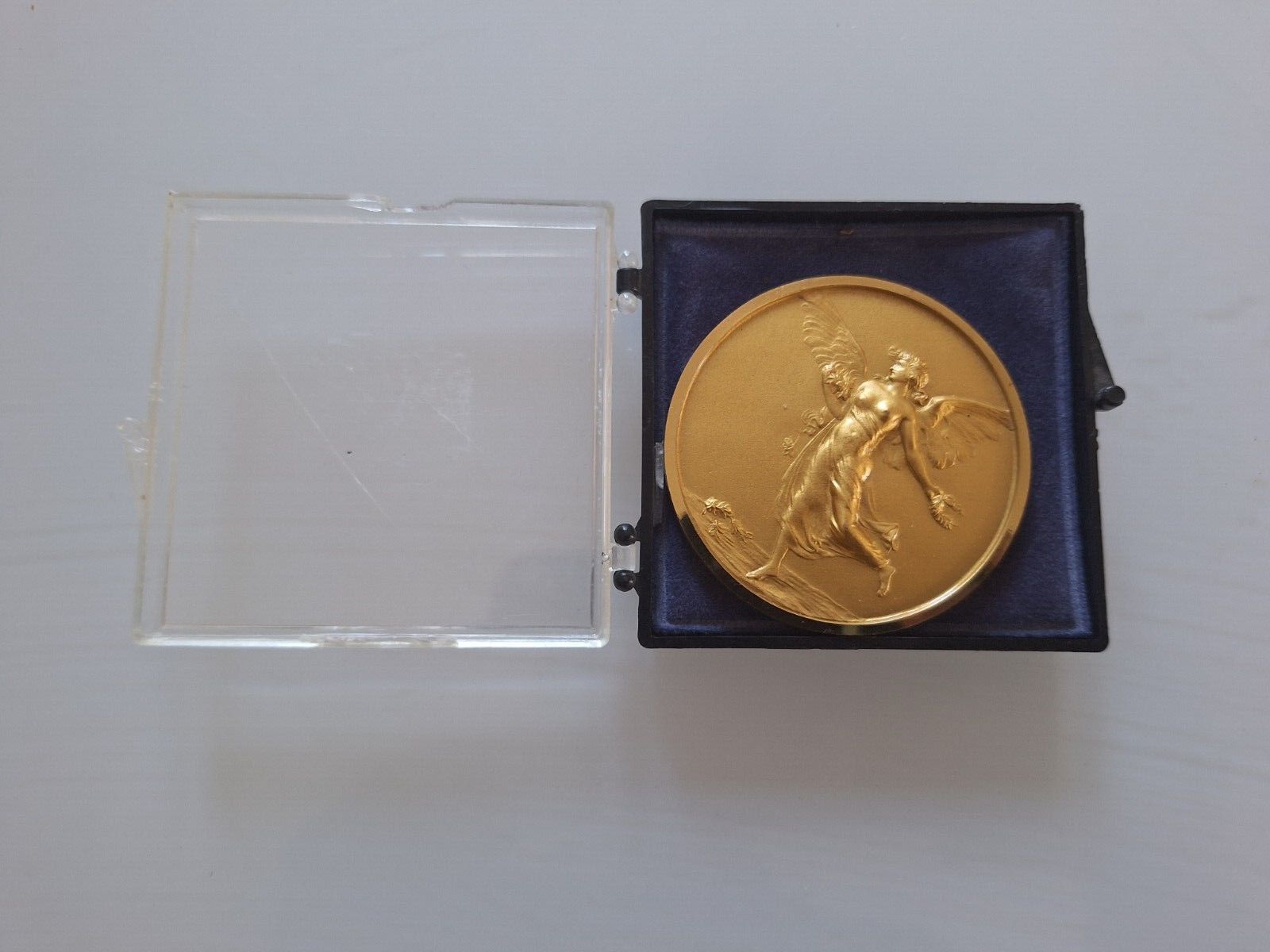 Animal Collection Gold Medal International Canine Exhibition San Remo CACIB