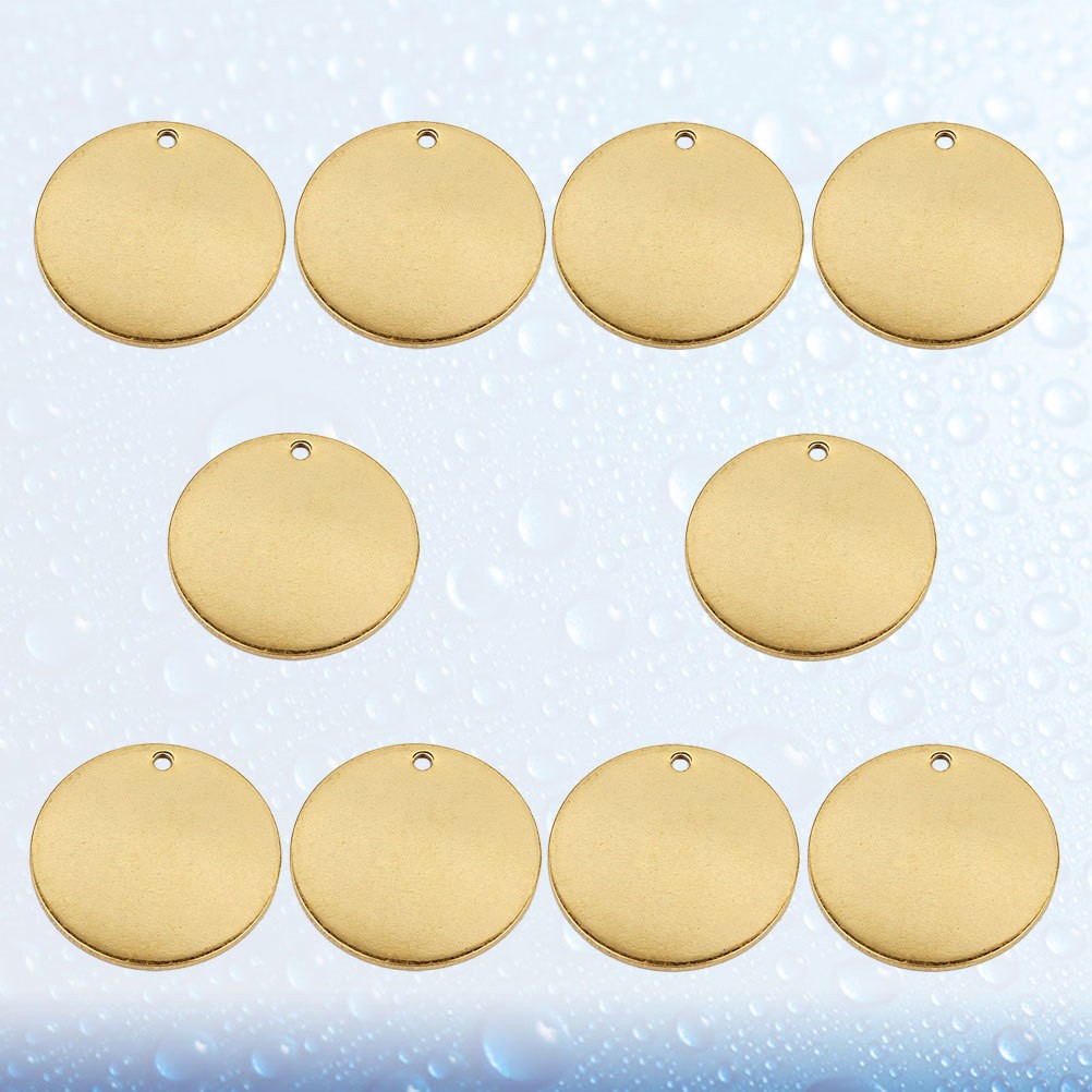 10 Pcs Dog Tags for Pet Blank Stainless Steel Keychain ID Hangings