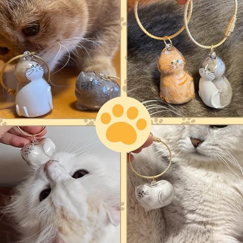 6PCS Cat Fur Keepsake Storage Bottle Pet Memorial Keychain