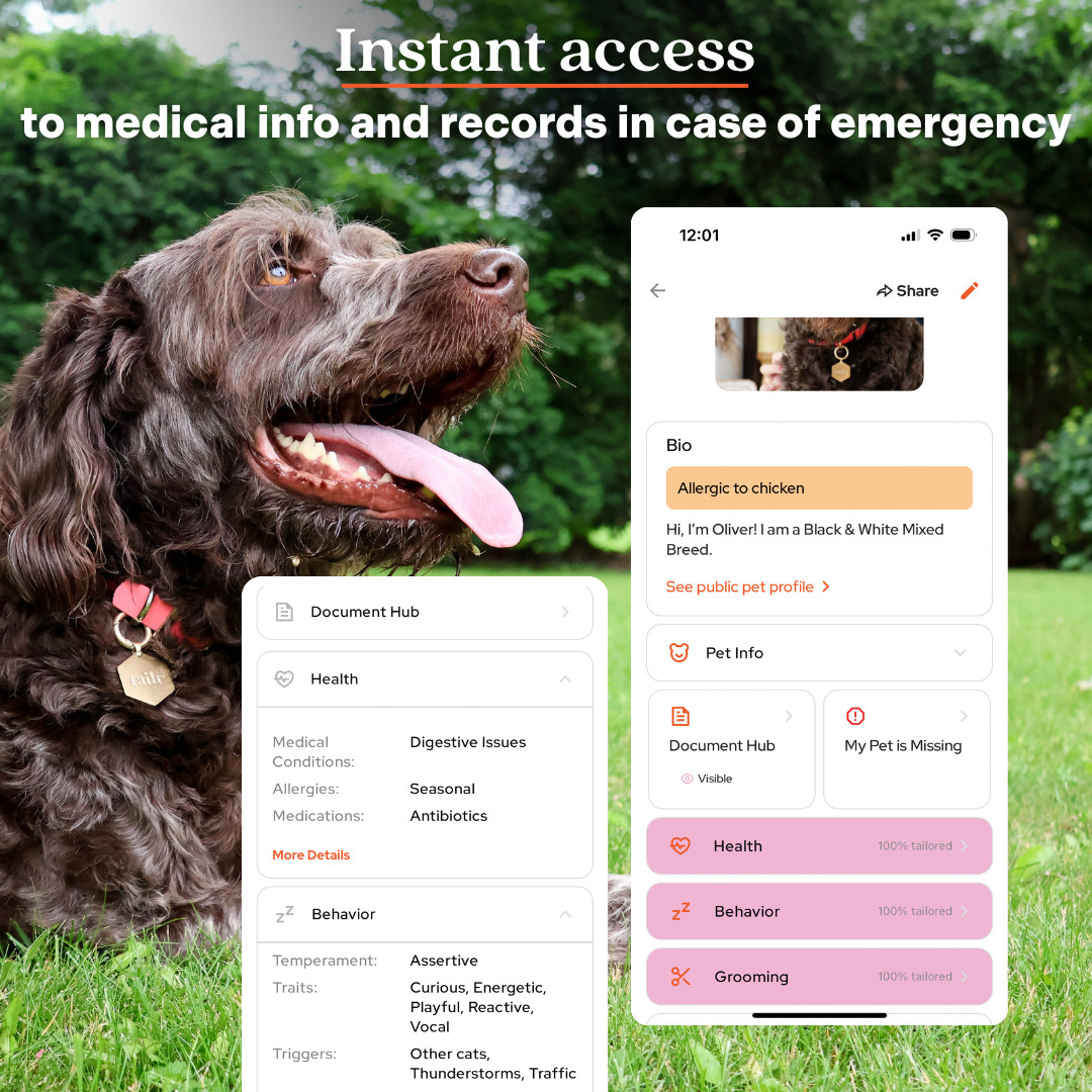 Tailr Slide On QR Code Dog Tag Silent Pet ID Tag with App No Jingle All Sizes