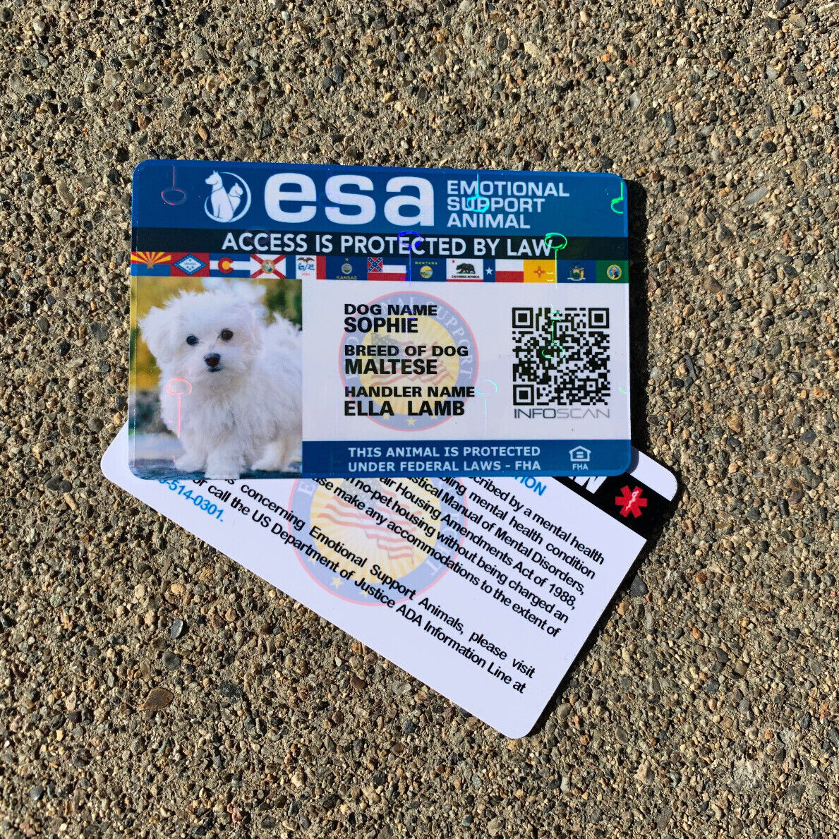 ESA ID CARD EMOTIONAL SUPPORT REGISTRATION EMOTIONAL SUPPORT ANIMAL HOLOGRAPHIC