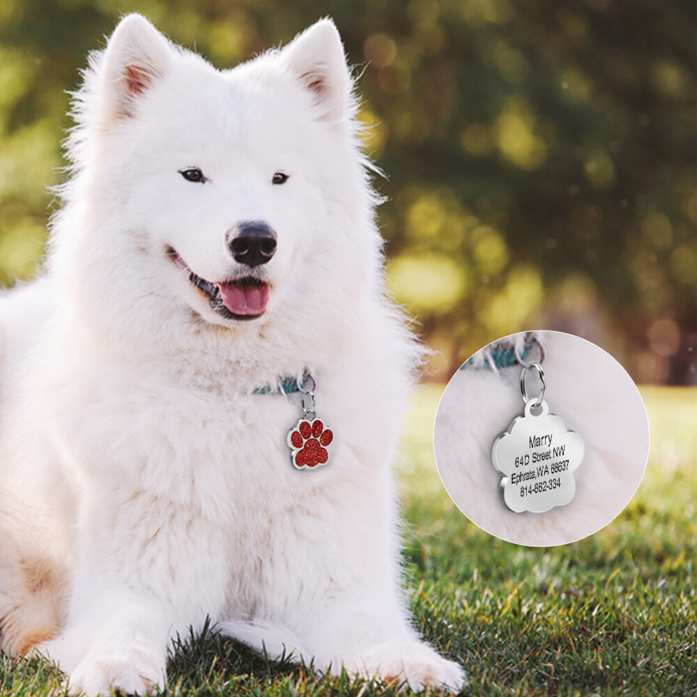 Glitter Paw Custom Dog Tags for Pets Engraved Pet Puppy Cat Name ID Collar Tags