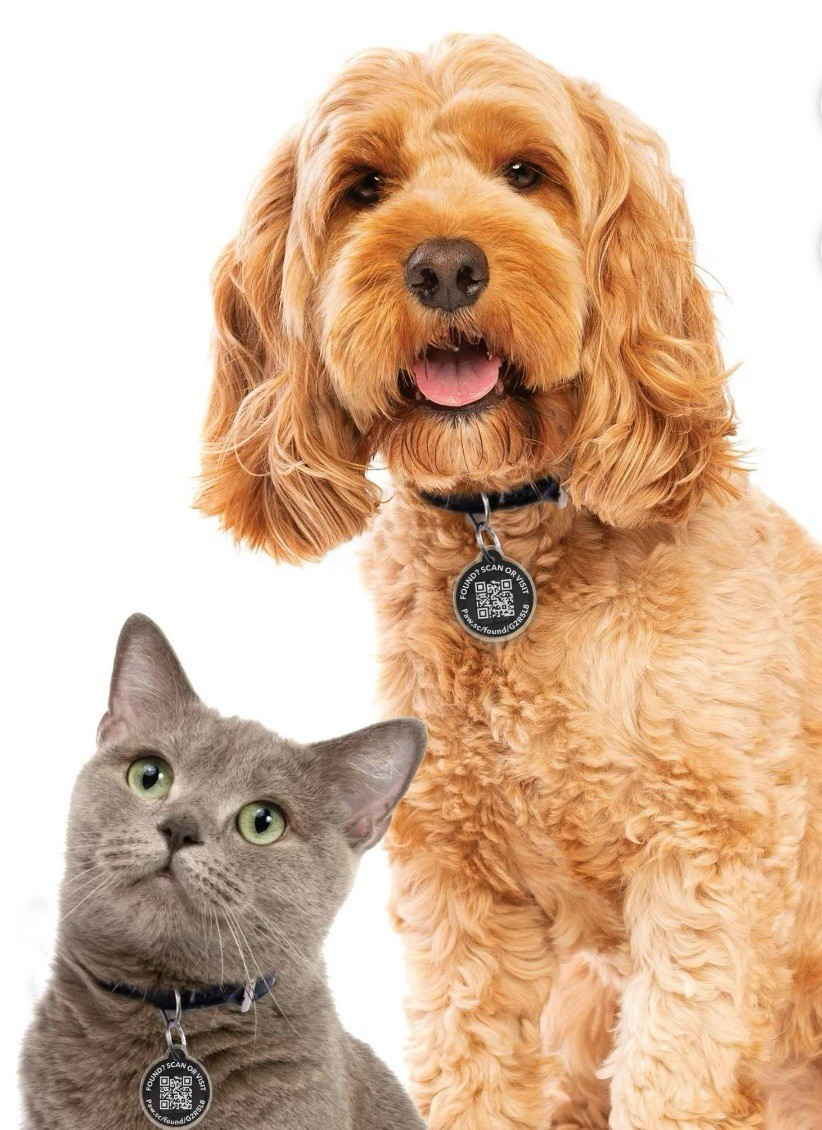 PawscoutQR The Smart Pet Tag Finder for Dogs/Cats- Connect To Your Phone